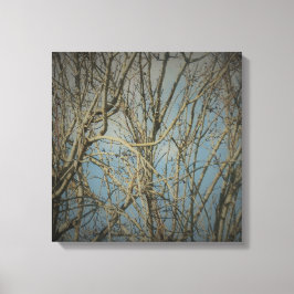 PARED DE ARTE Y DISEÑO DE CANVAS