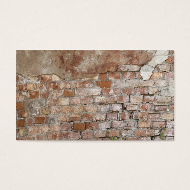 Pared de ladrillo (Frente)