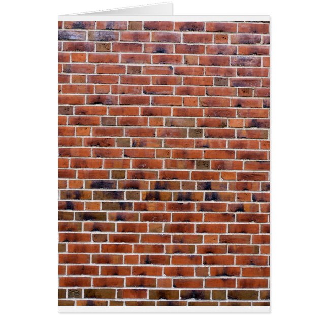 Pared de ladrillo con juntas (Frente)