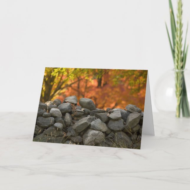 PARED DE PIEDRA   DE LAS TARJETAS DE FELICITACIÓN (Anverso)