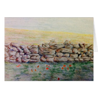 Pared de piedra del país