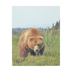 Pared Metalizado de 16"x 20" Arte de oso pardo