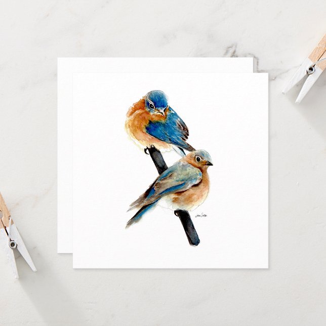 Pareja Azul Hermosa Acuarela (Bluebird Pair Watercolor from Jenn Steffen Art)