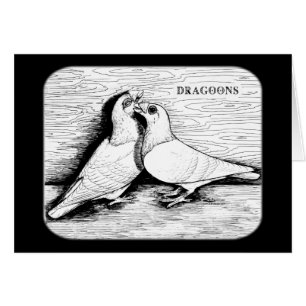 Pareja blanca Dragoon