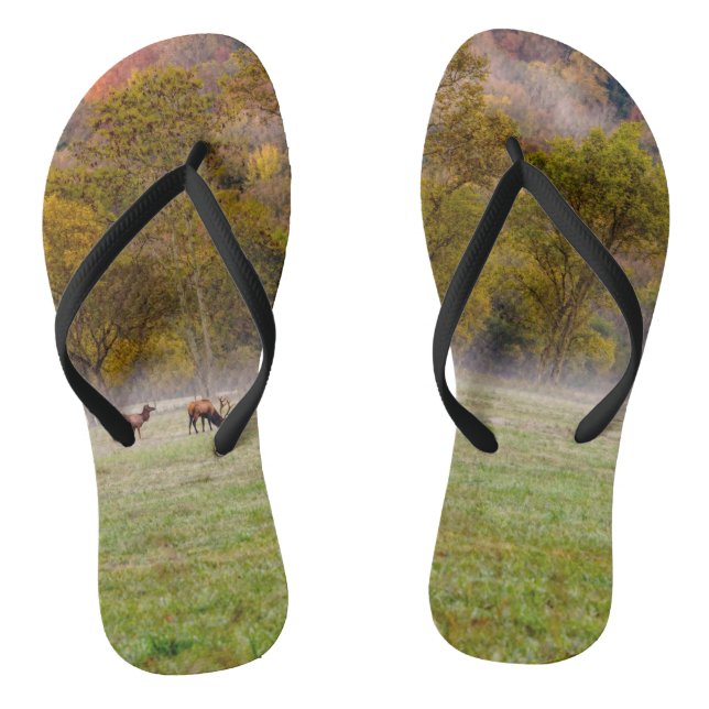 Pareja de alces pastando chanclas (Plantilla)