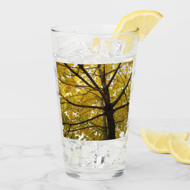 Pareja de arce amarillo naturaleza otoñal (Reverso (hielo))