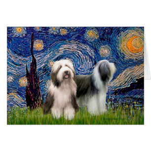 Pareja de Beardie 1 - Noche estrellada - Personali