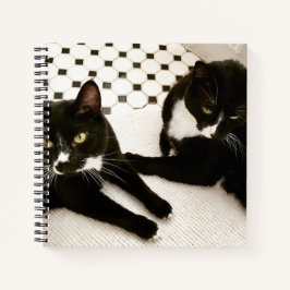 Pareja de cuaderno en espiral de gatos de Tuxedo