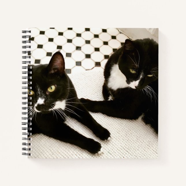 Pareja de cuaderno en espiral de gatos de Tuxedo (Anverso)