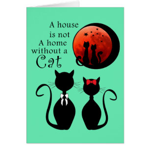 Pareja de gatos en casa