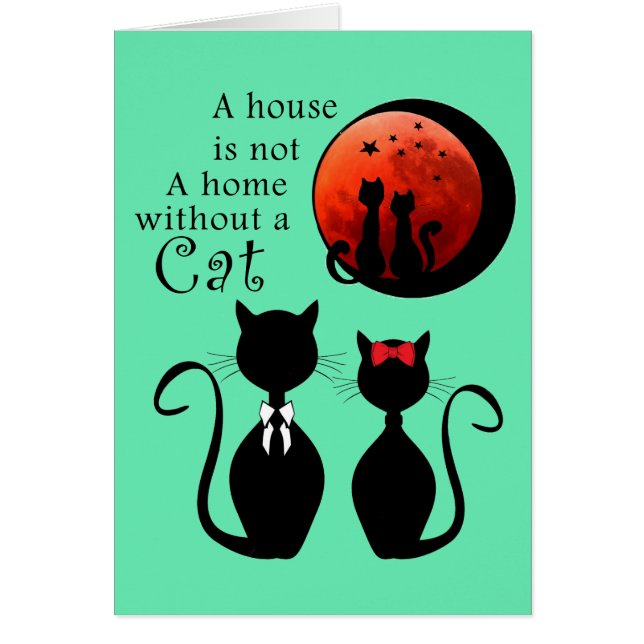 Pareja de gatos en casa (Frente)