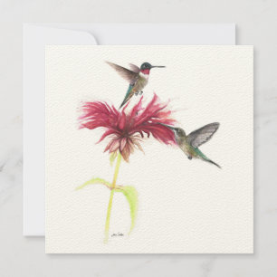 Pareja de Hummingbird Ruby