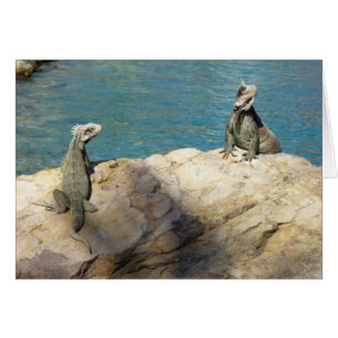 Pareja de Iguanas Fotografía de Vida Silvestre Tro
