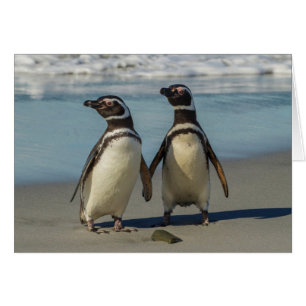 Pareja de pingüinos en la playa