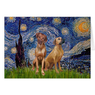 Pareja de Rhodesian Ridgeback - Noche estrellada