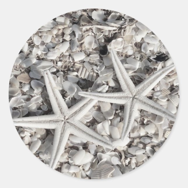 Pareja Starfish en Pegatinas de playa (Anverso)