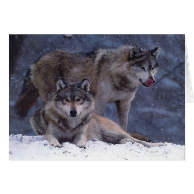 Pares (Anverso (Horizontal))