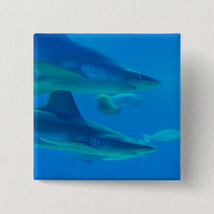 Pares de botón de los tiburones