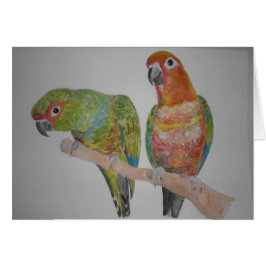 pares de Conure del オウムパロット que cuelgan hacia