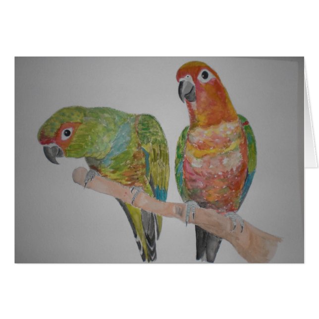 pares de Conure del オウムパロット que cuelgan hacia (Anverso (Horizontal))