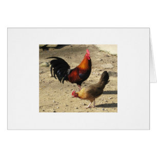 Pares de Gamebirds principal redondo