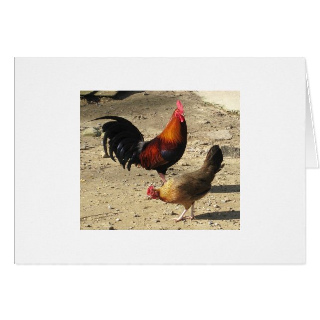 Pares de Gamebirds principal redondo (Anverso (Horizontal))