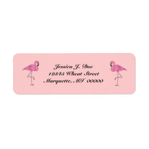 Pares de los flamencos de etiquetas rosadas del