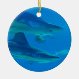 Pares de ornamento de los tiburones