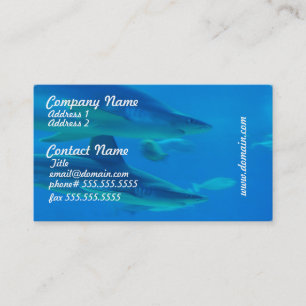 Pares de tarjetas de visita de los tiburones