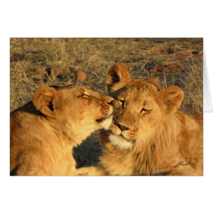 (Pares del león de los clubs de leones) (el