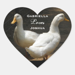 Pares del pato: Pegatinas del amor