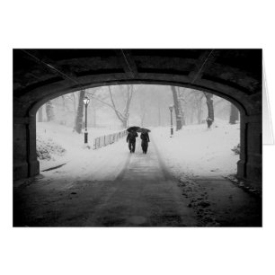 Pares en la nevada, Central Park