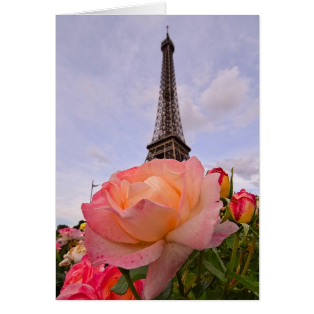 París en primavera es siempre una buena idea (Frente)