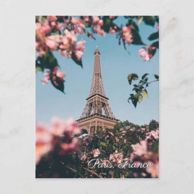 Paris France Torre Eiffel Torre de flores postal (Anverso)