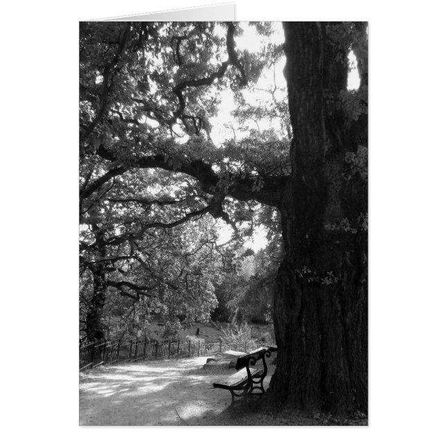 Park Bench (Frente)