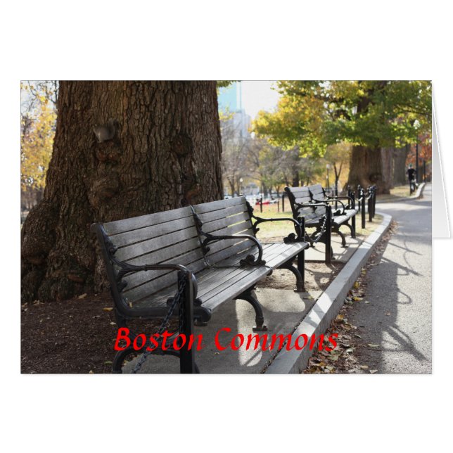 Park Bench, Boston Commons, Massachusetts (Anverso (Horizontal))