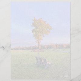 Parking Bench - Hoja de estantería de 8,5" x 11"