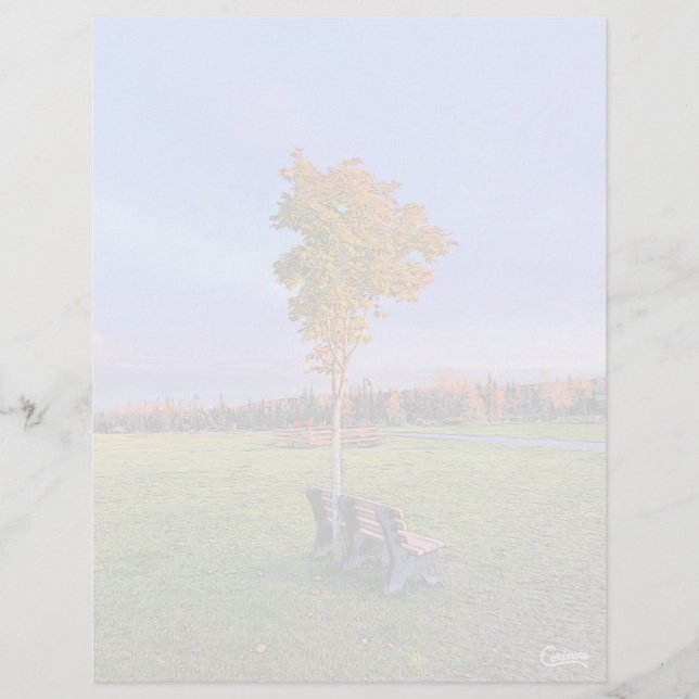 Parking Bench - Hoja de estantería de 8,5" x 11" (Anverso)