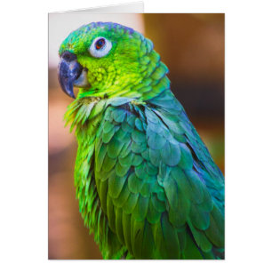 Paro verde