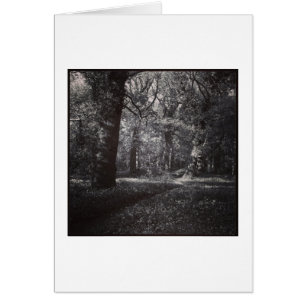 Parque Bute Primavera, Cardiff, Gales