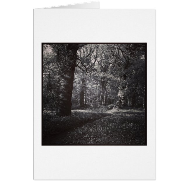 Parque Bute Primavera, Cardiff, Gales (Frente)