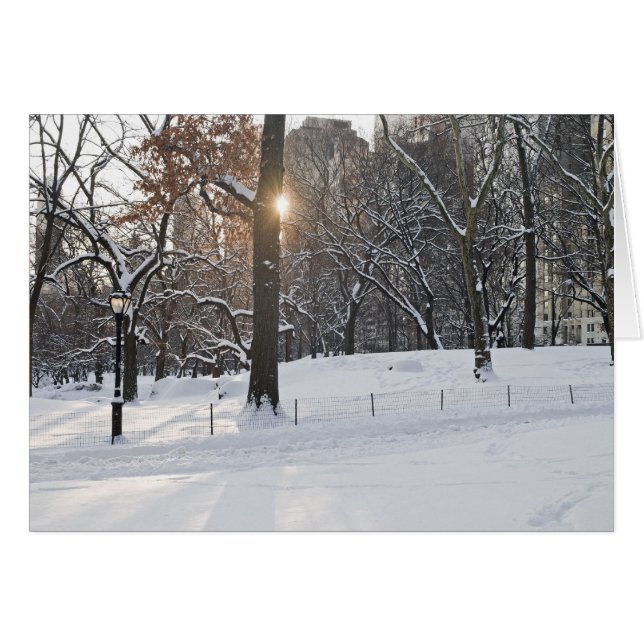 Parque central de la luz solar de invierno (Anverso (Horizontal))