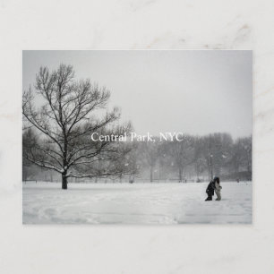 Parque central, postal