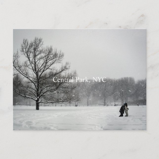 Parque central, postal (Anverso)