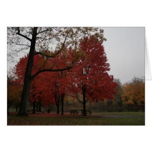 parque de berenjenas en otoño