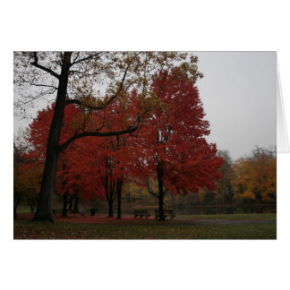 parque de berenjenas en otoño
