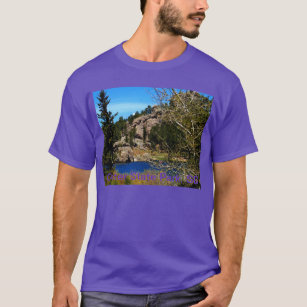 Parque de estado de Custer de la camiseta SD