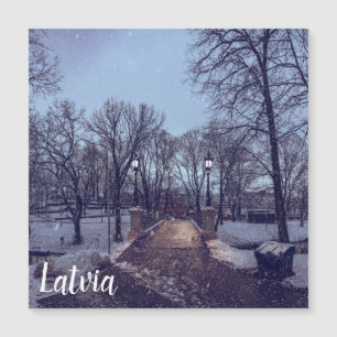 Parque de la ciudad nevada de invierno por la noch