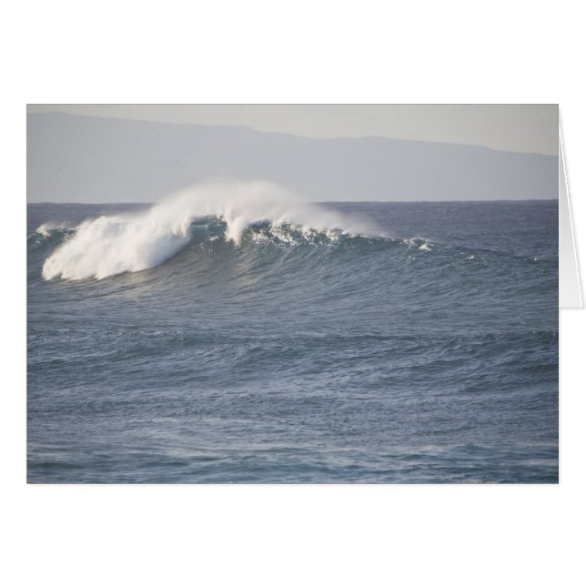 Parque de la playa Hookipa, costa norte de Maui, (Anverso (Horizontal))
