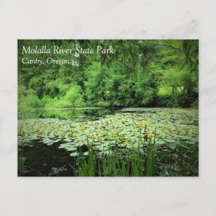 Parque estatal del río Molalla, Canby, postal de O